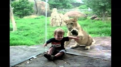 Kids At The Zoo Compilation Youtube