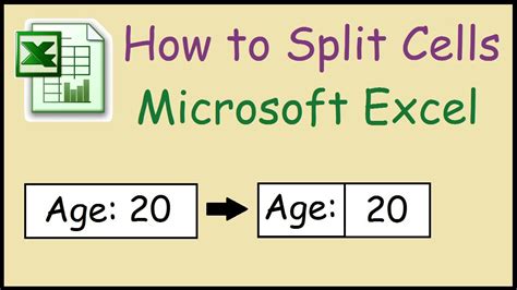 How do i extract a page from a pdf? How to split cells containing text in Excel - YouTube