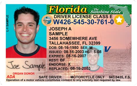 Official Website Florida Department Of Highway Safety And Motor Vehicles