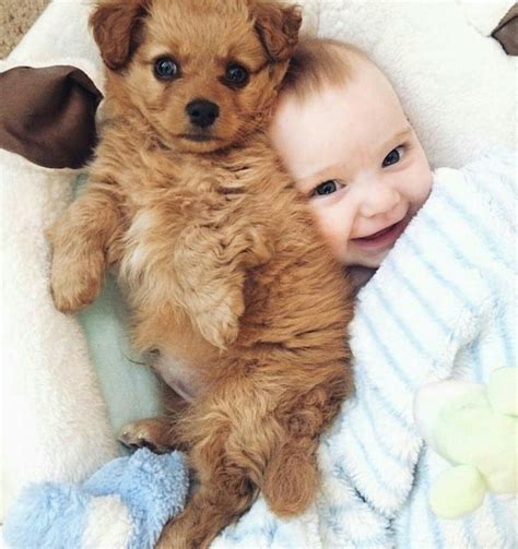 Pin By Sara Jolie On Smile Baby Puppies Puppy Photos Dog Cuddles