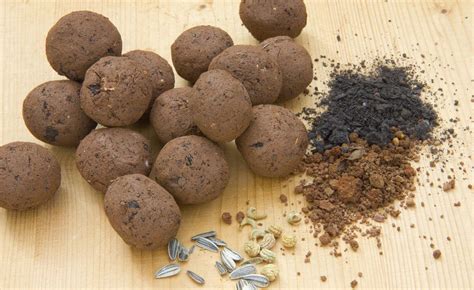 It's so easy to make seed bombs yourself - Best Garden, Home And DIY Tips