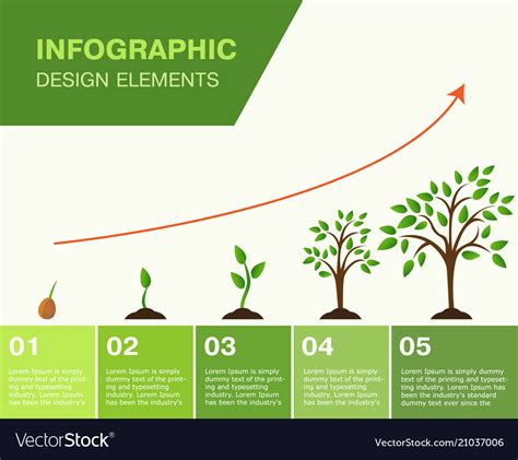 Infographic Of Planting Tree Seeds Sprout Vector Image