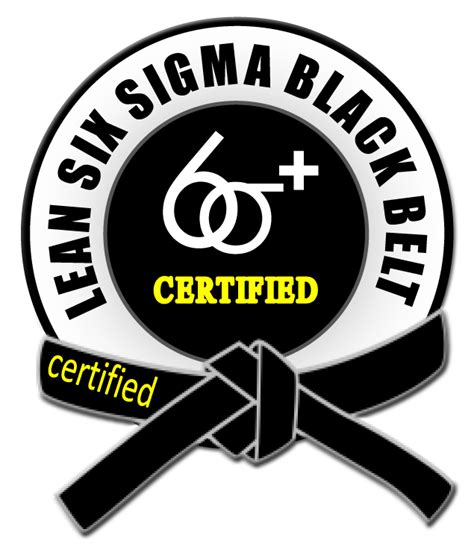 Lean Six Sigma Black Belt Six Sigma Plus
