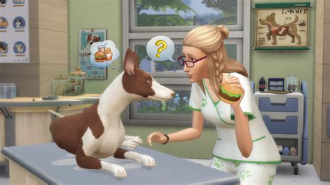 Acheter La Collection Les Sims™ 4 Chiens Et Chats Premier Animal De