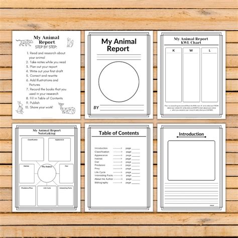 Animal Research Report Printable Pdf K 1st 2nd Etsy