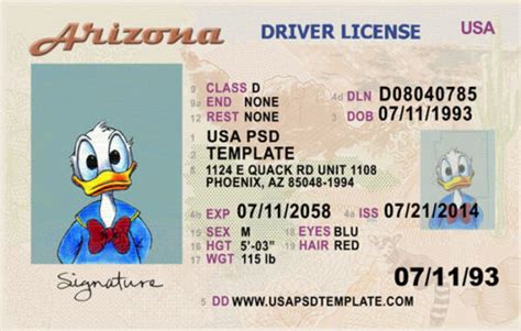 Buy Arizona Drivers License Online Usa Psd Template