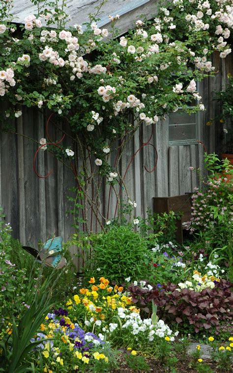 Seven Tips For Growing Climbing Roses