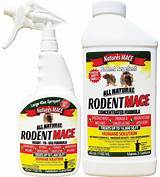 Amazon.com : Mouse Repellent Spray 40oz : Garden & Outdoor | Mice repellent, Rodent repellent, Spray