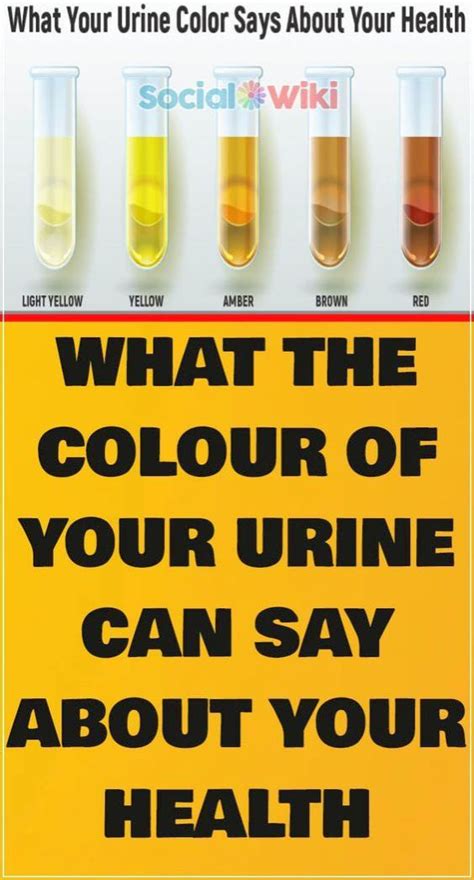 Heres What The Color Of Your Urine Says About Your Health In With Images Color Of