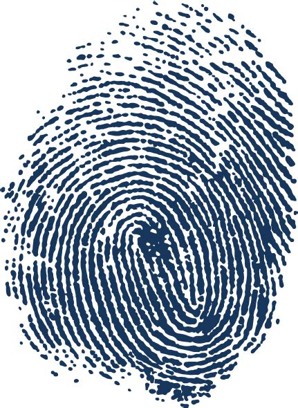 Download Fingerprint Icon Png Library - Blue Fingerprint Png png image
