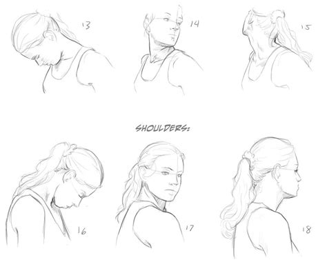 “neck And Shoulder” Reference Sheet Art Drawing Tips By Melissa