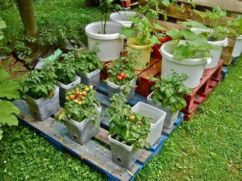 40 Simple But Beautiful Bucket Gardening Ideas Carenthusias Garden