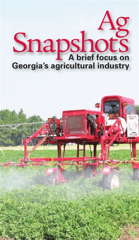 A Brief Focus On Georgias Agricultural Industry