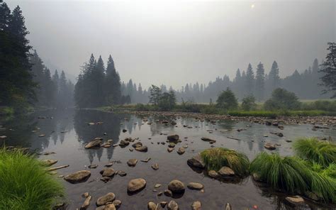 Foggy River Scene 2560x1600 Rwallpapers
