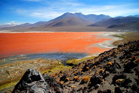 How To Choose A Uyuni Salt Flats Tour And What To Do There