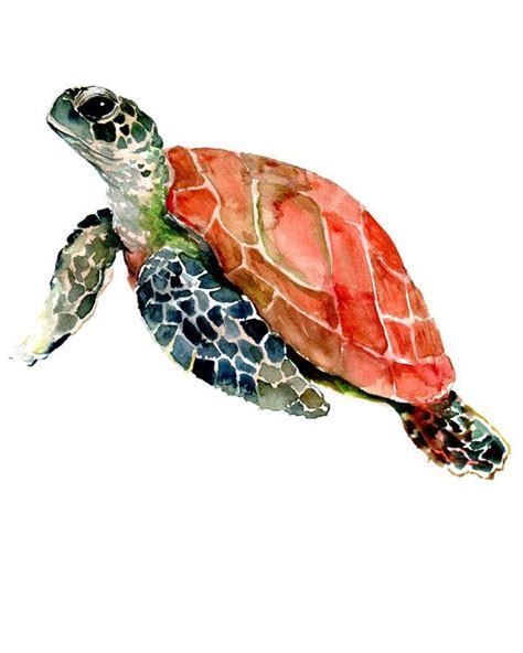 Sea Turtle Turtle Art Turtle Design Mini Art Print By Surenart