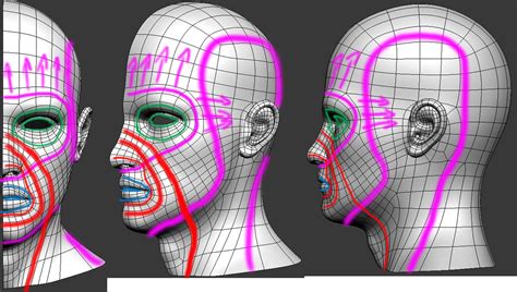 Guard Update Re Topology Face Topology Topology Character Design