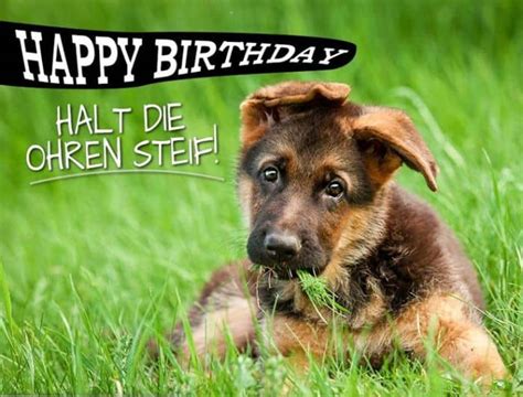 Lustige happy birthday bilder mit tieren gif die tiere zu beobachten, ist immer lustig und wenn dies am geburtstag geschieht, dann ist es noch lustiger. Lustige Geburtstagsbilder Kostenlos