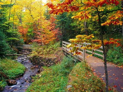 Andy Foto Natura Paisajes De Otoño