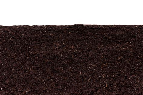 Soil Png Images Free Soil Pictures Download Free Transparent Png Logos