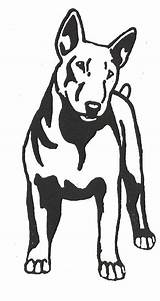 Bull Terrier Drawing English Stencil Silhouette Outline Bully American Coloring Dog Silhouettes Dogstampsplus Pitbull Australia Clipartmag Patterns sketch template