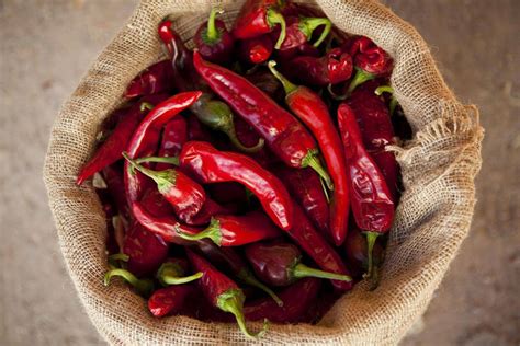 New Mexicos Shrine To The Chili Pepper Is A Hot Destination The