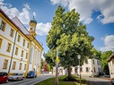 🏰 Neuburg an der Donau Sehenswürdigkeiten: Ausflugsziele in der Stadt ...