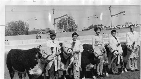 The royal adelaide show holds a special place in the lives and memories of south australians. Photo gallery: Magic memories of the Royal Adelaide Show ...