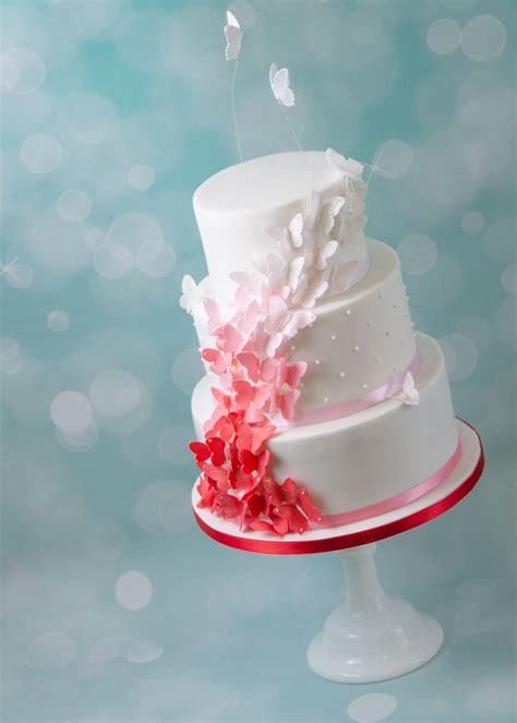 Check spelling or type a new query. Tipps zum Torten transportieren - Minh Cakes Blog | Cake ...