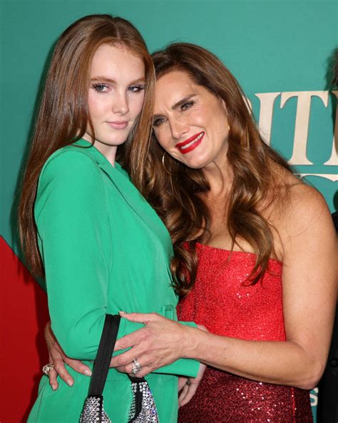 Brooke Shields And Grier Henchy Make Glamorous Red Carpet Appearance