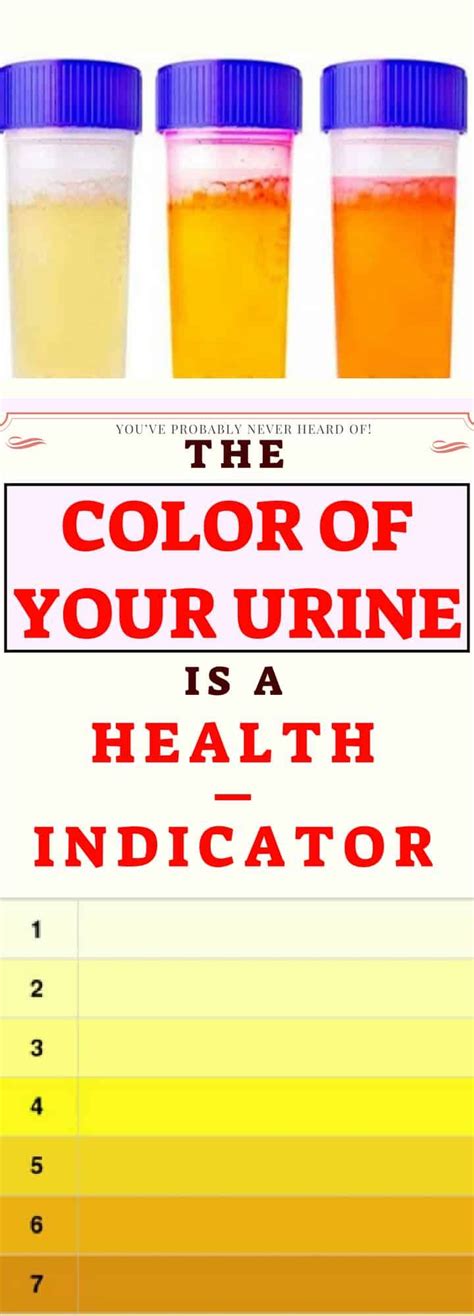 What The Color Of Your Urine Says About Your Health Health Urinal Tips