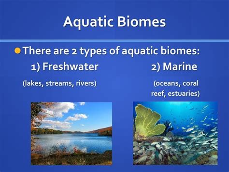 Science Aquatic Ecosystembiome Diagram Quizlet