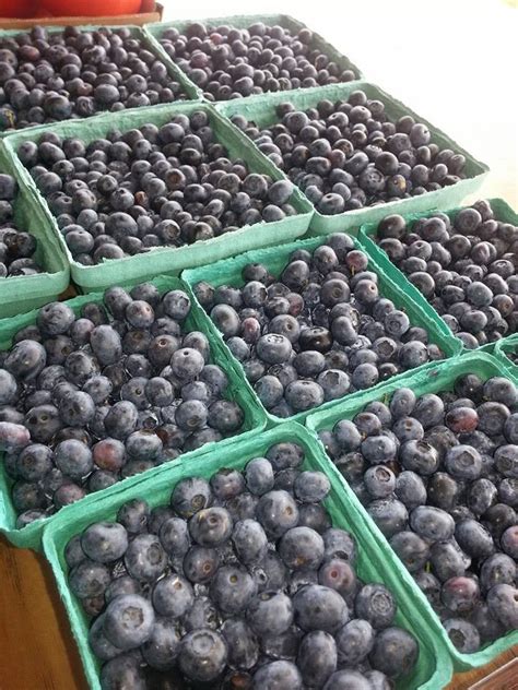 Click n go pick up. Fresh Berries - Moder's Gardens - Lineville Rd - (920) 434 ...