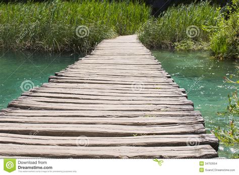 Deep Forest Stream Crystal Clear Water Plitvice Lakes Croatia Stock