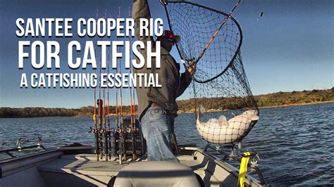 Santee Cooper Rig For Catfish A Catfishing Essential