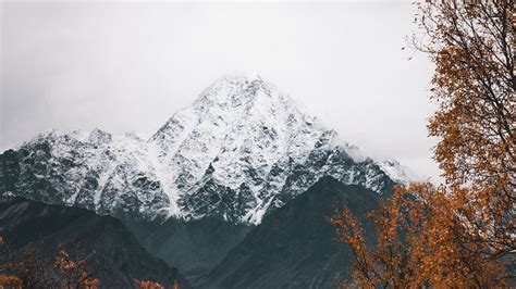 Download Wallpaper 1366x768 Mountain Peak Snowy Trees Landscape