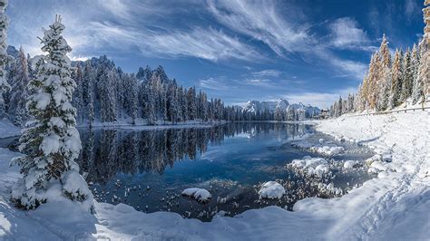 Paisaje Nevado En El Bosque Arte Digital Fondo De Pantalla 4k Ultra Hd