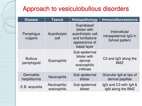 Ppt Vesiculo Bullous Disorders Powerpoint Presentation Free Download