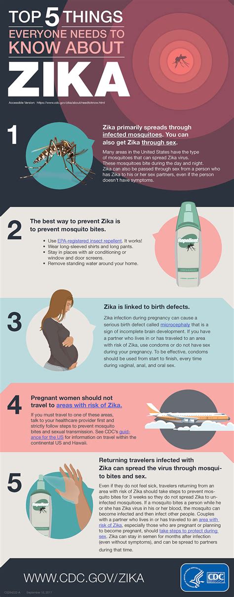 Top 5 Things Everyone Needs To Know About Zika Cdc