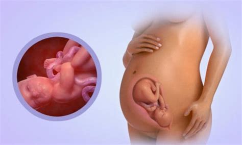 33 Weeks Pregnant Symptoms And Caesarean Births Week By