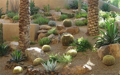 Your backyard is your outdoor living space; 17 BEST Desert Landscaping Ideas in 2020 | Cactus garden ...