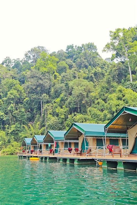 Rainforest Camp At Elephant Hills Khao Sok Thailand Rainforest