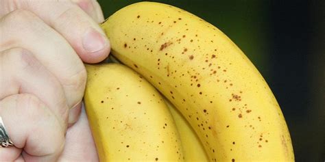 Deadly Spider Eggs Found In Bananas Bought From Aldi Huffpost Uk