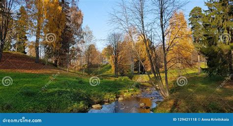 Creek And Autumn Trees Stock Photo Image Of Garden 129421118