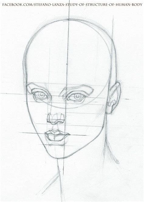 Drawing Heads Human Drawing Body Drawing Figure Drawing Face