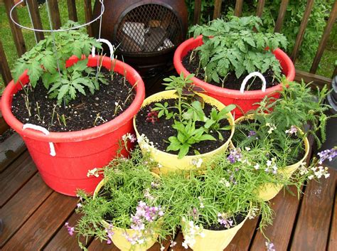 19 Organic Vegetable Container Gardening Ideas To Consider Sharonsable