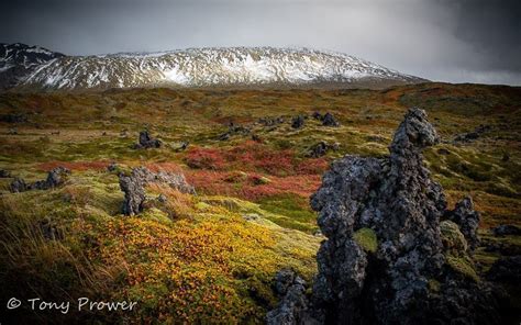 Lava Fields Volcanic Iceland Iceland Travel Guide Locations And Tours