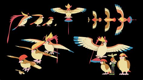 Size Comparison Through Evolutions 6 Pidgey Pokemon