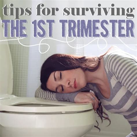 Tips For Surviving The 1st Trimester Of Pregnancy Daily Mom