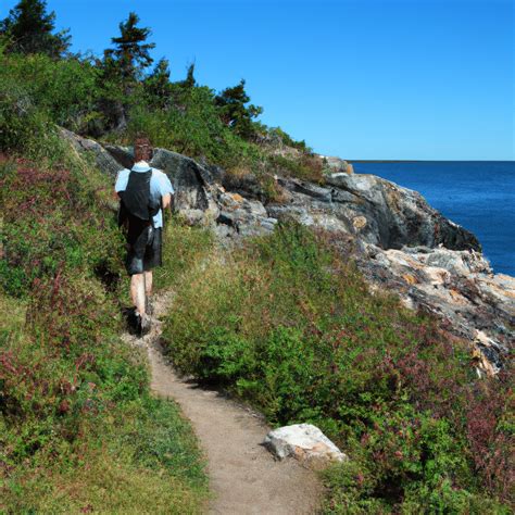 Exploring The Monhegan Island Cliff Trail A Review And Guide Collect